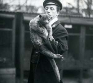 Keeper, Leslie Martin Flewin, sosteniendo un Kinkajou en el Zoológico de Londres, febrero de 1913 de Frederick William Bond